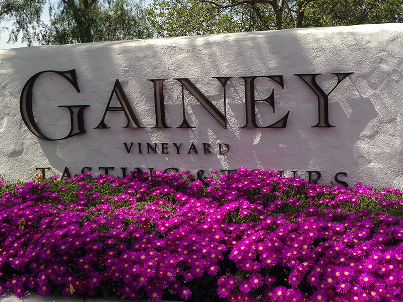 Dog & Family Friendly Wineries Santa Barbara Wine Country Santa