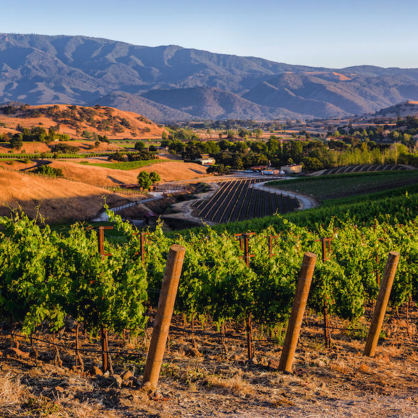 Santa Ynez Wine Trail - Santa Barbara County Vintners