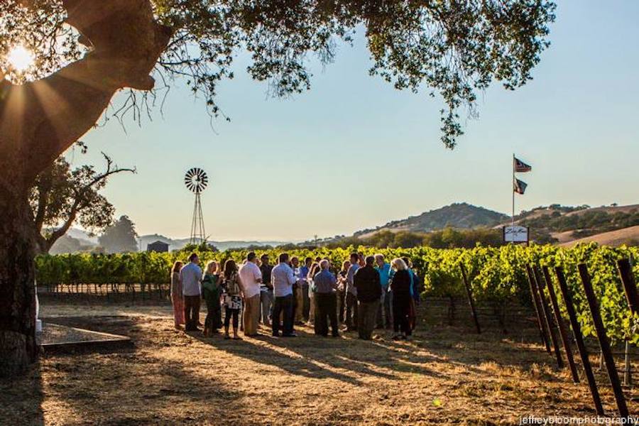 Zaca Mesa Vineyards & Winery Santa Barbara County Vintners