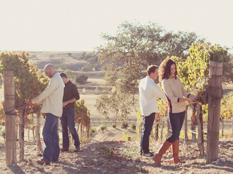 wine tour california packages