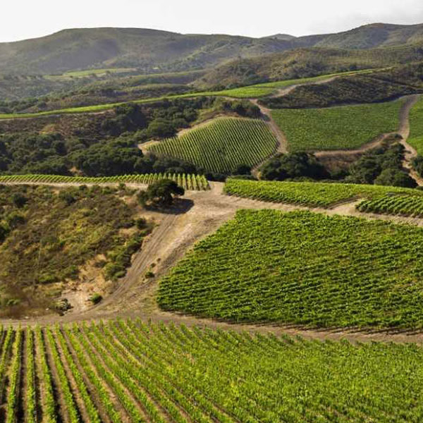 Sta. Rita Hills Wine Trail - Santa Barbara County Vintners