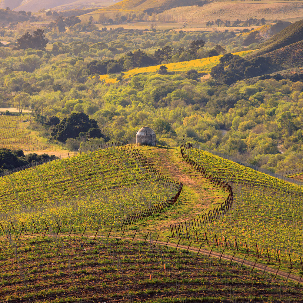 Sta. Rita Hills Wine Trail - Santa Barbara County Vintners