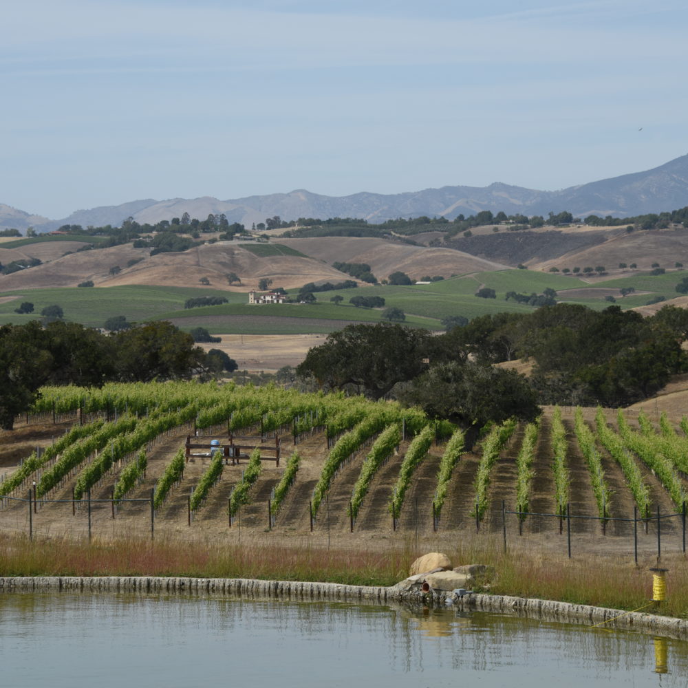 Santa Ynez Wine Trail - Santa Barbara County Vintners