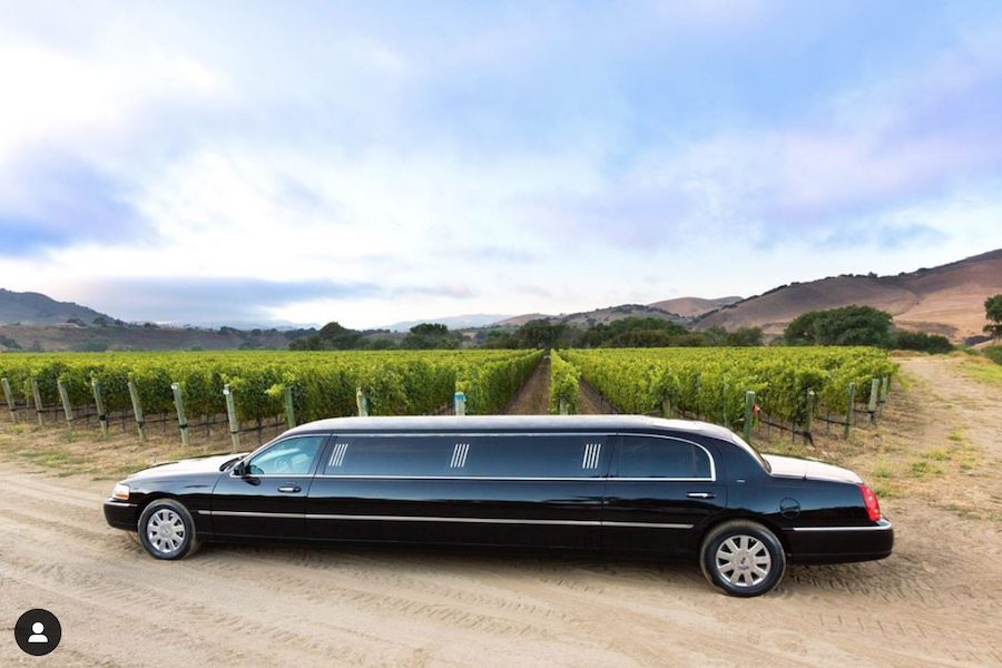 stretch limo in front of vineyards