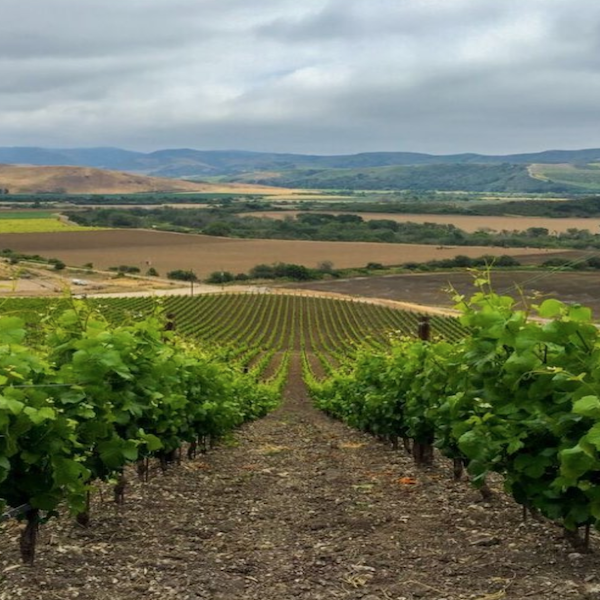 Lompoc Wine Trail - Santa Barbara County Vintners